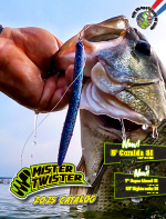 Mister Twister® Tackle Catalog Cover